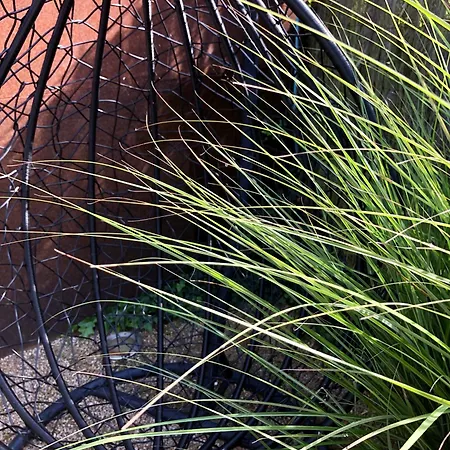 Eifel-auszeit 別荘