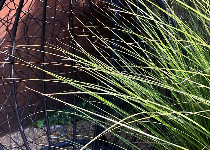 Eifel-auszeit בית נופש