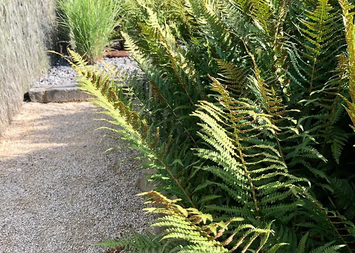 Eifel-auszeit Rieden (Mayen-Koblenz)